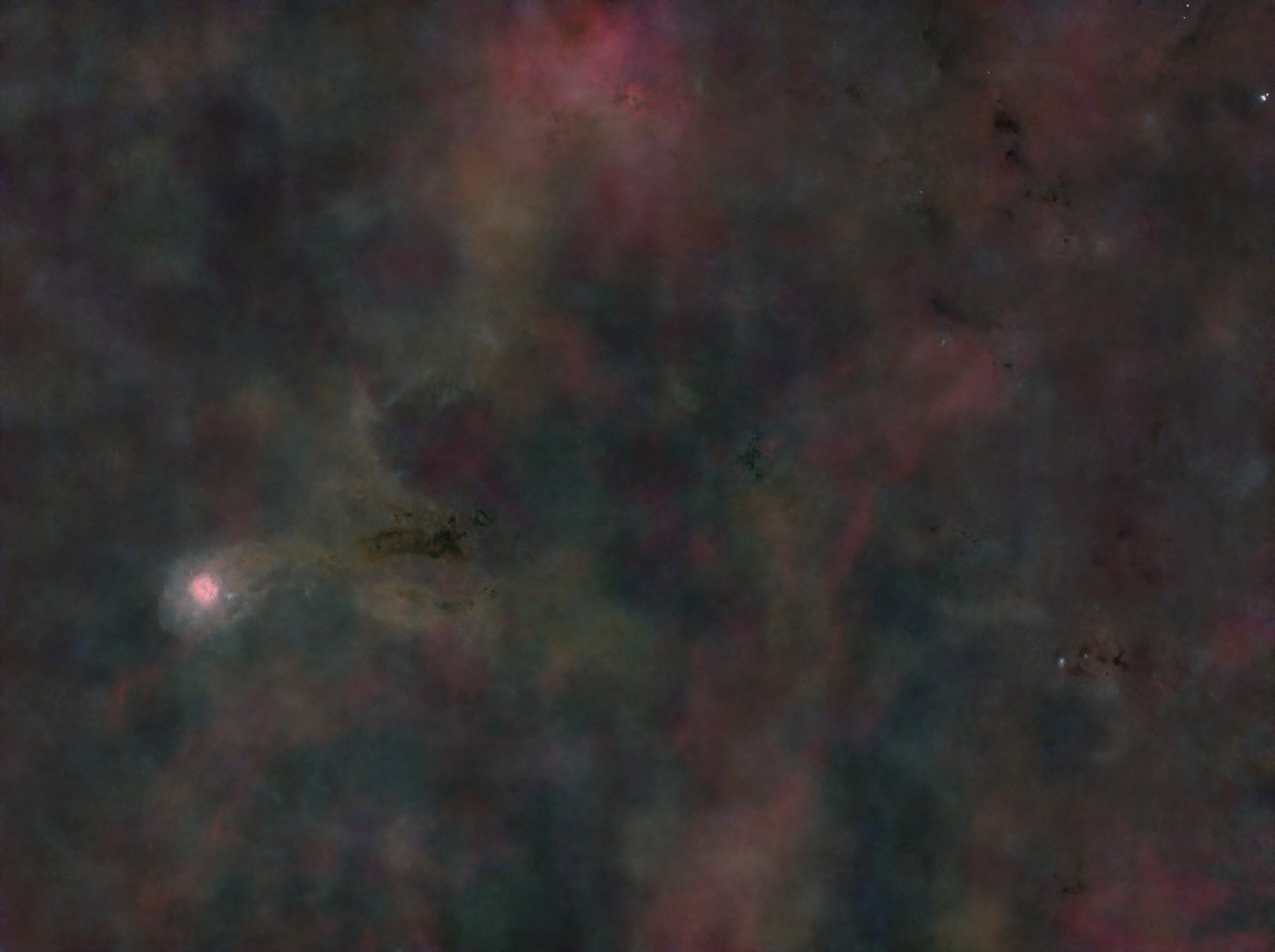 IC5146 Cocoonnebel - Weitfeld - starless