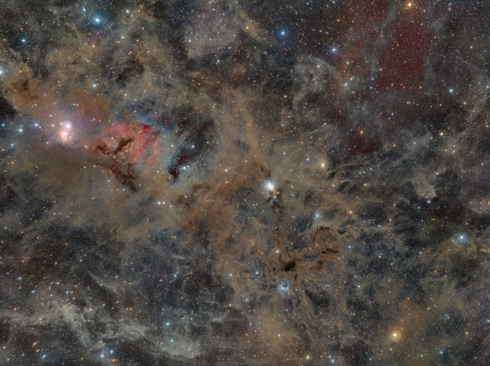 NGC 1333 Weitfeld