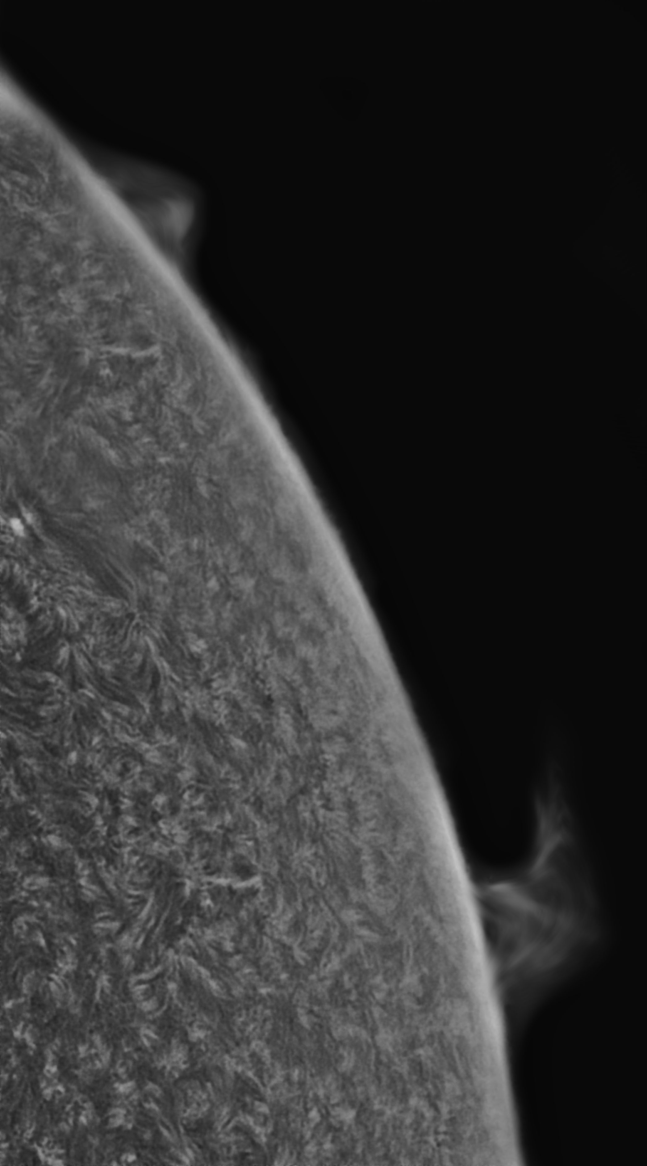 Sonne Hα 04.06.2022 - inverted