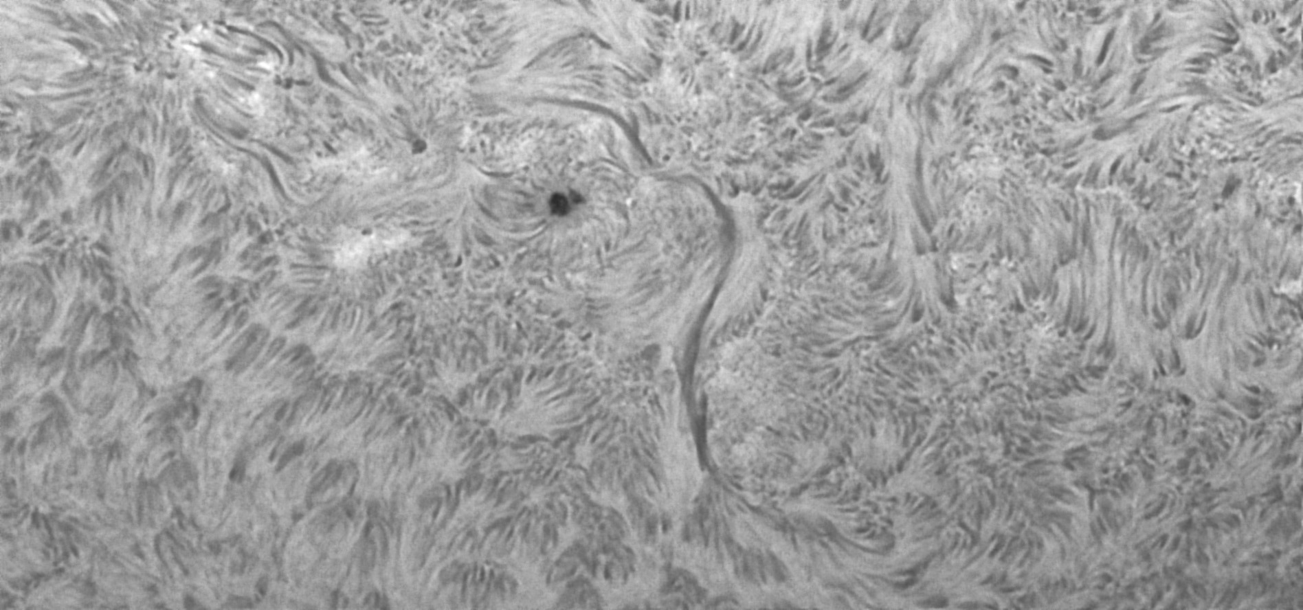 Sonne Hα 15.06.2022