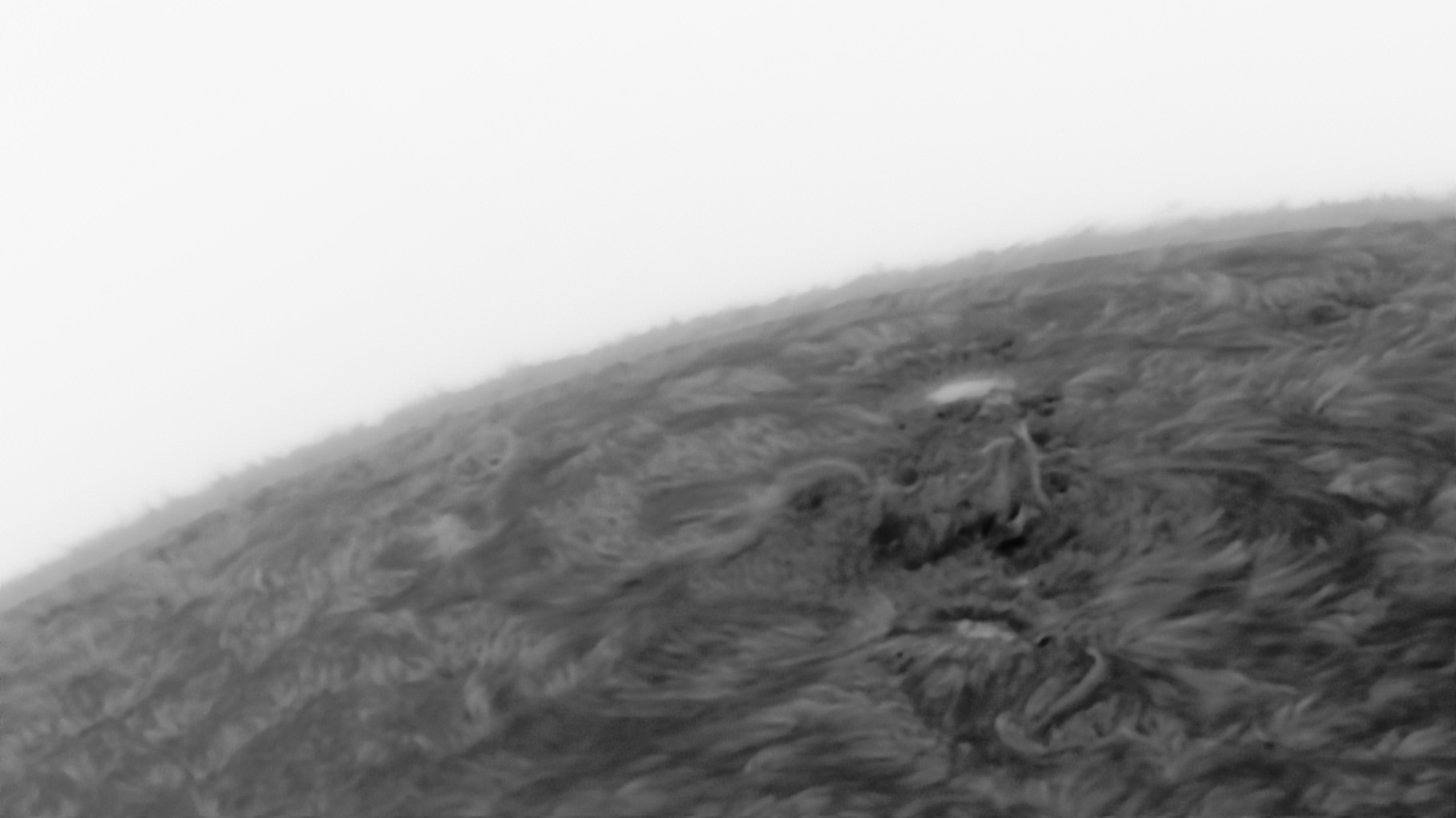 Sonne Hα 25.06.2022 - inverted