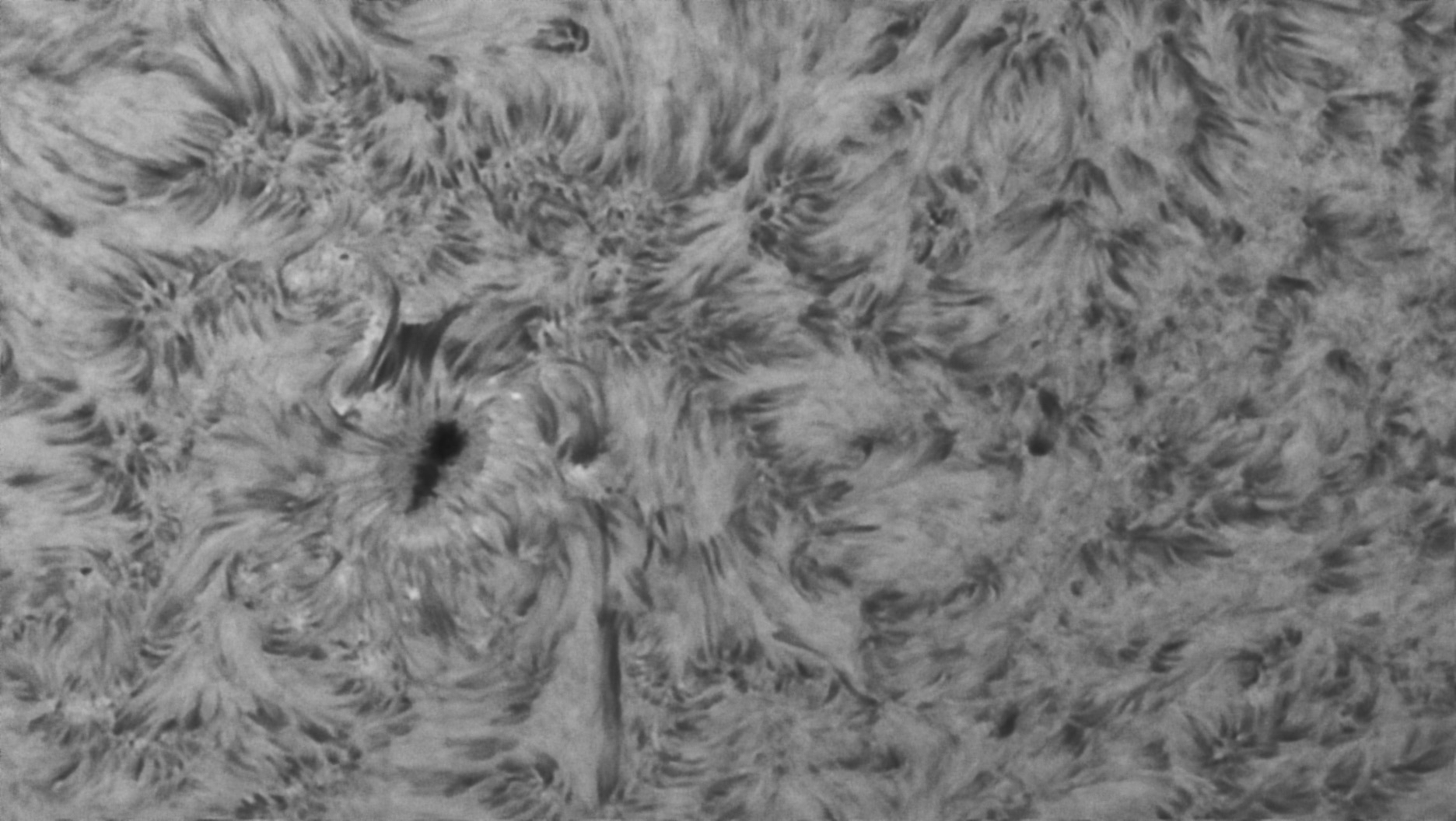 Sonne Hα 25.06.2022