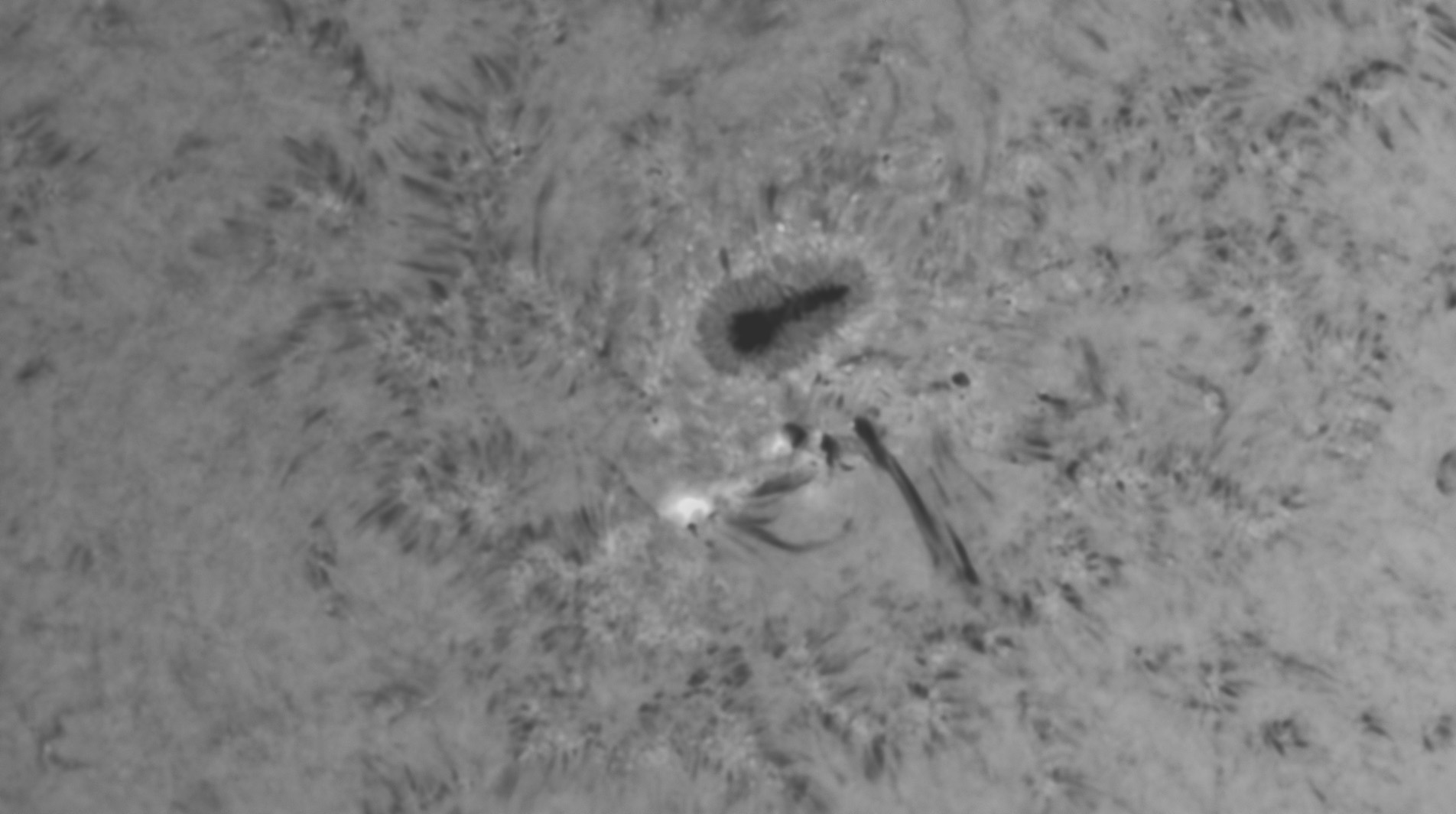 Sonne Hα 26.06.2022