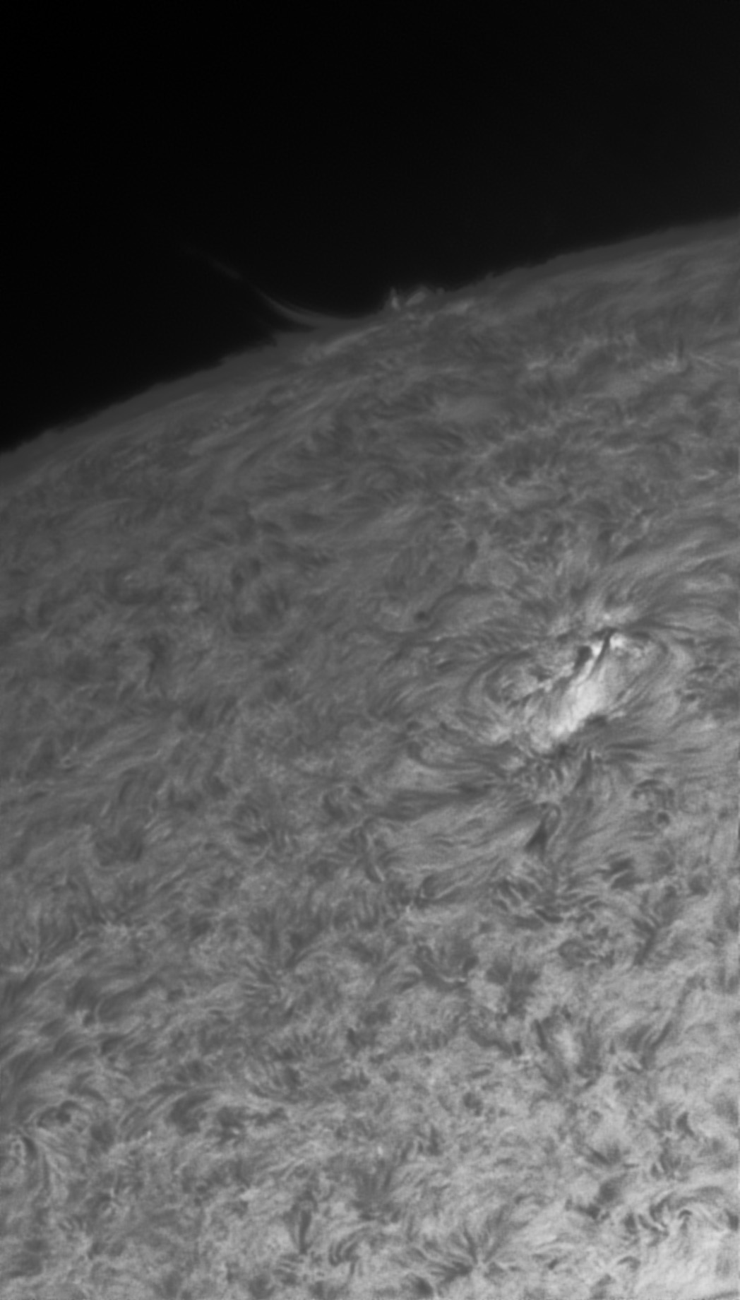 Sonne Hα 27.06.2022