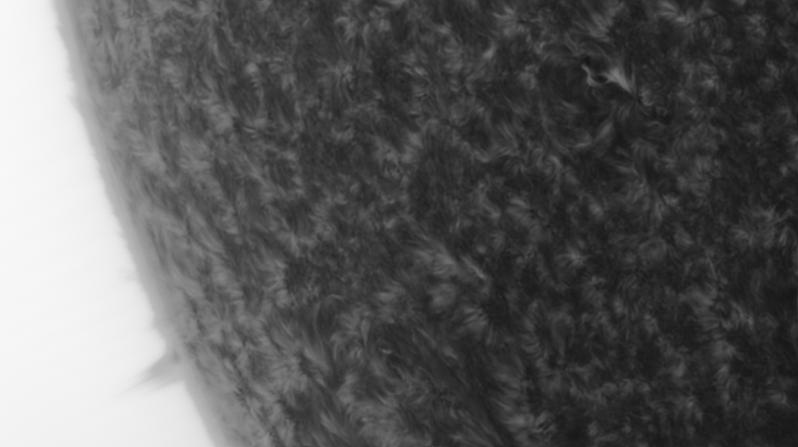 Sonne Hα 27.06.2022 - inverted