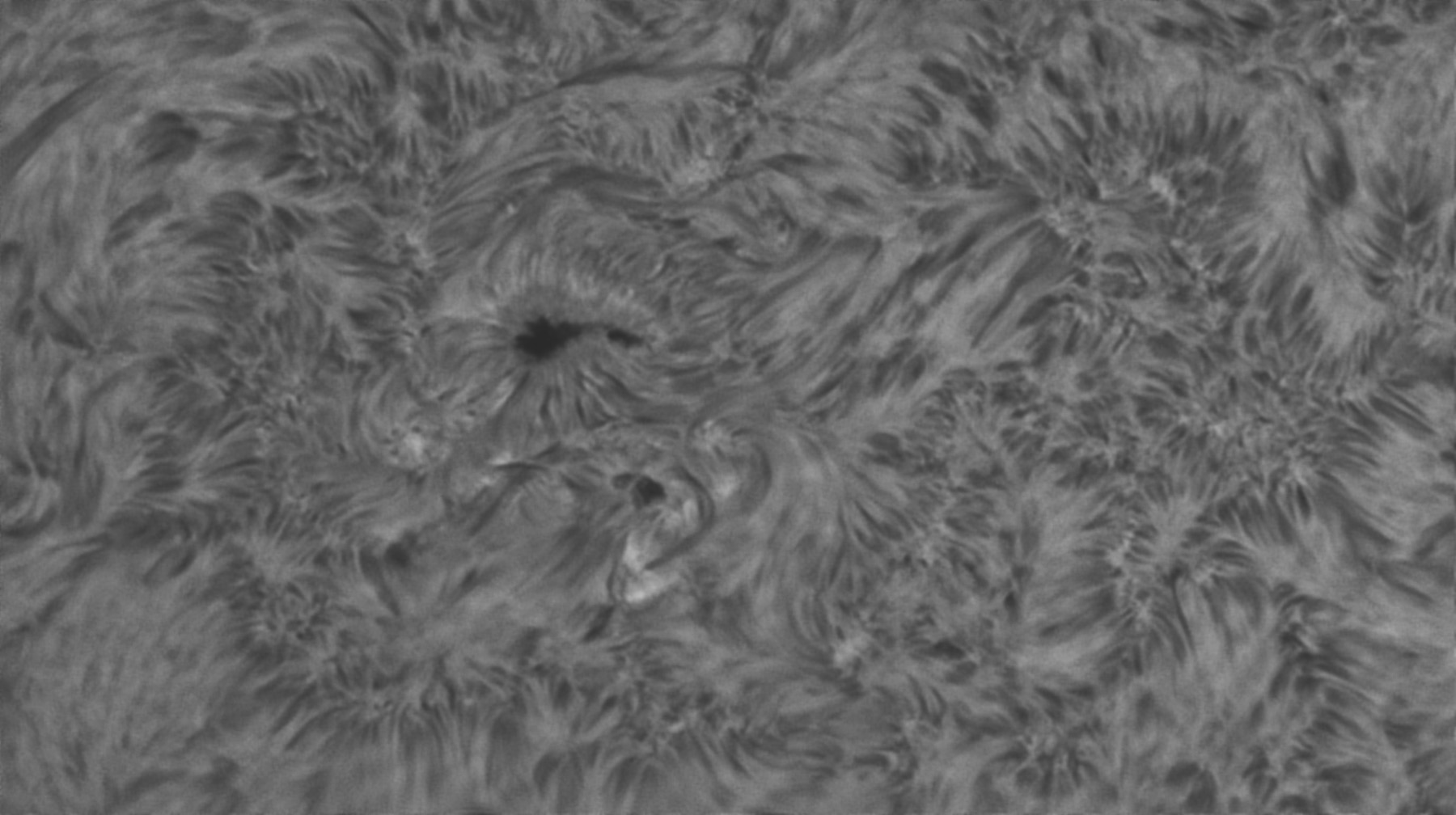 Sonne Hα 27.06.2022