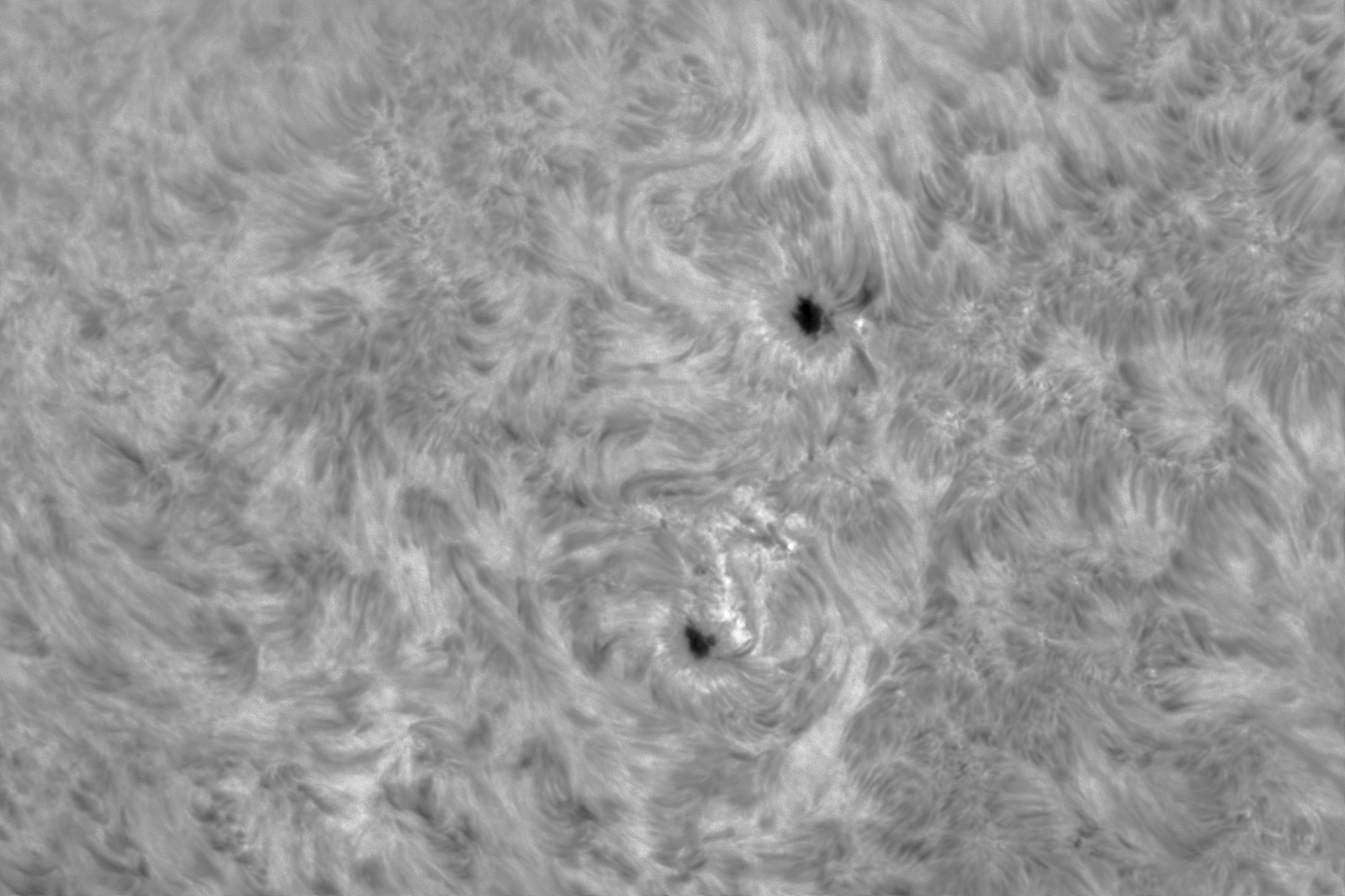 Sonne Hα 31.10.2022