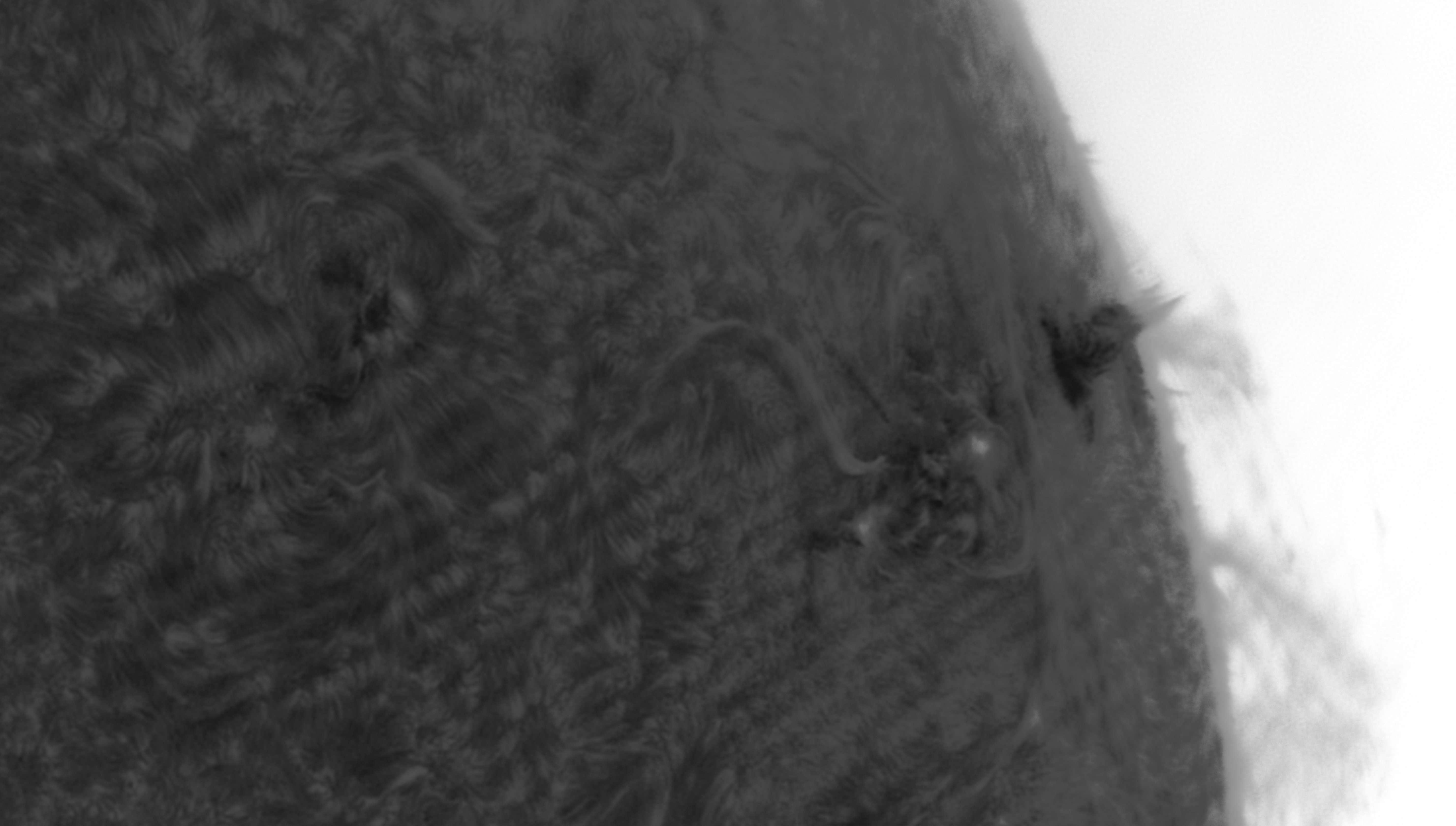 Sonne Hα 08.06.2024 - inverted