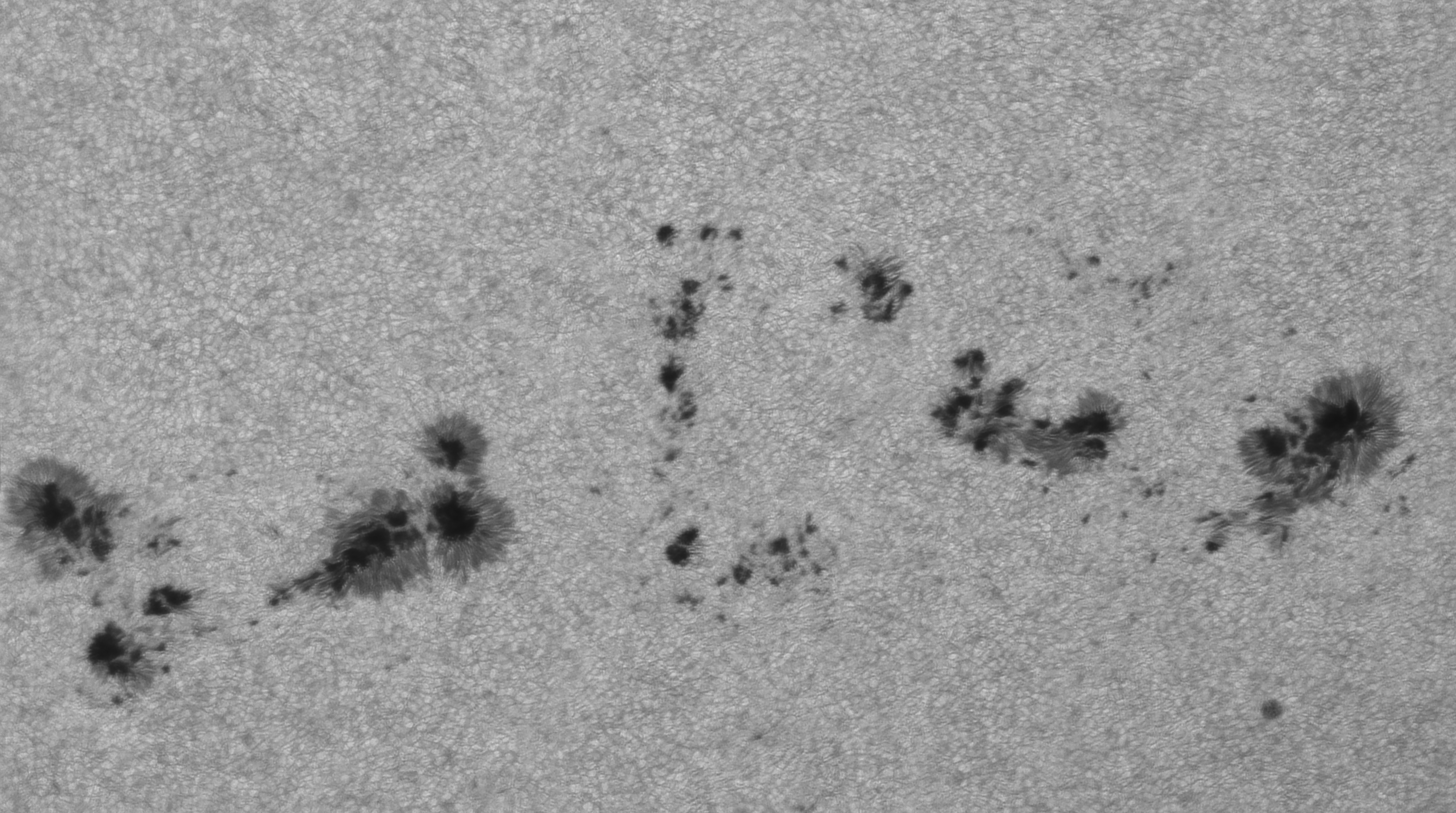 Sonne Weißlicht 21.07.2024