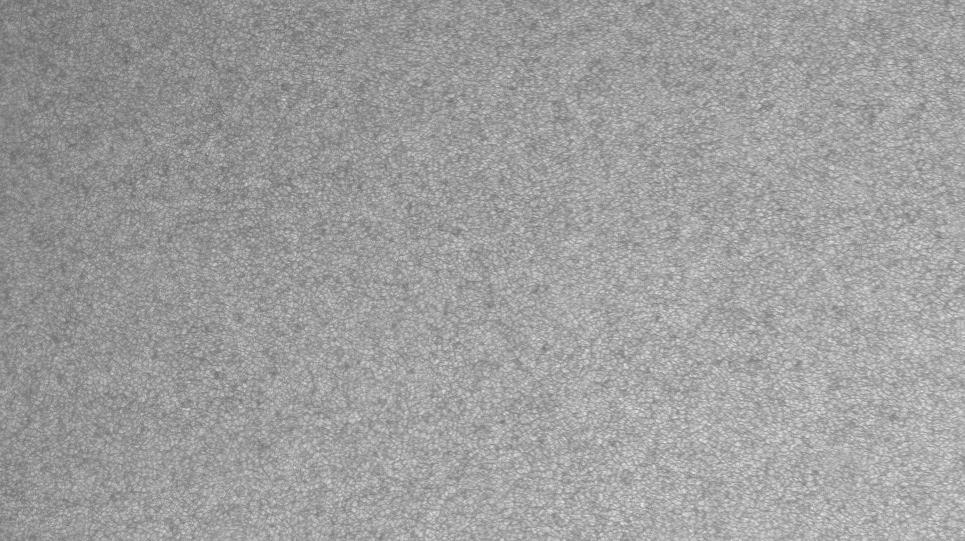 Sonne 10.08.2024- Granulation -