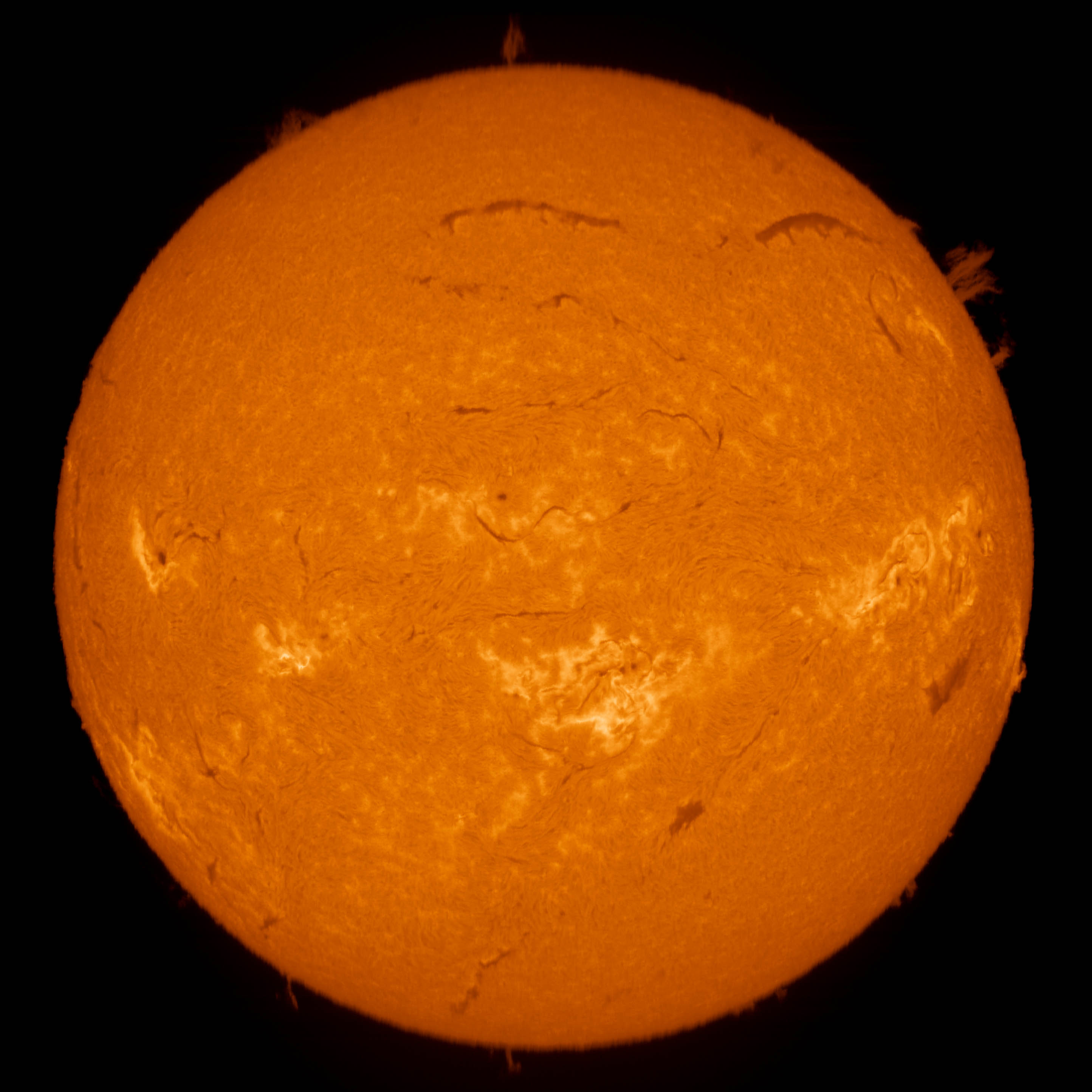 Sonne Hα  - colored